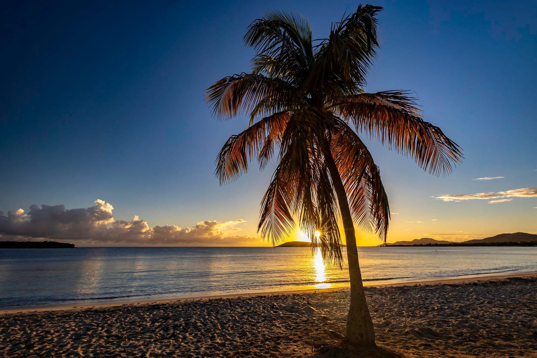 A leaning palm silhouetted against a glowing tropical sunset, the kind of place that rewards photographers and non-photographers alike