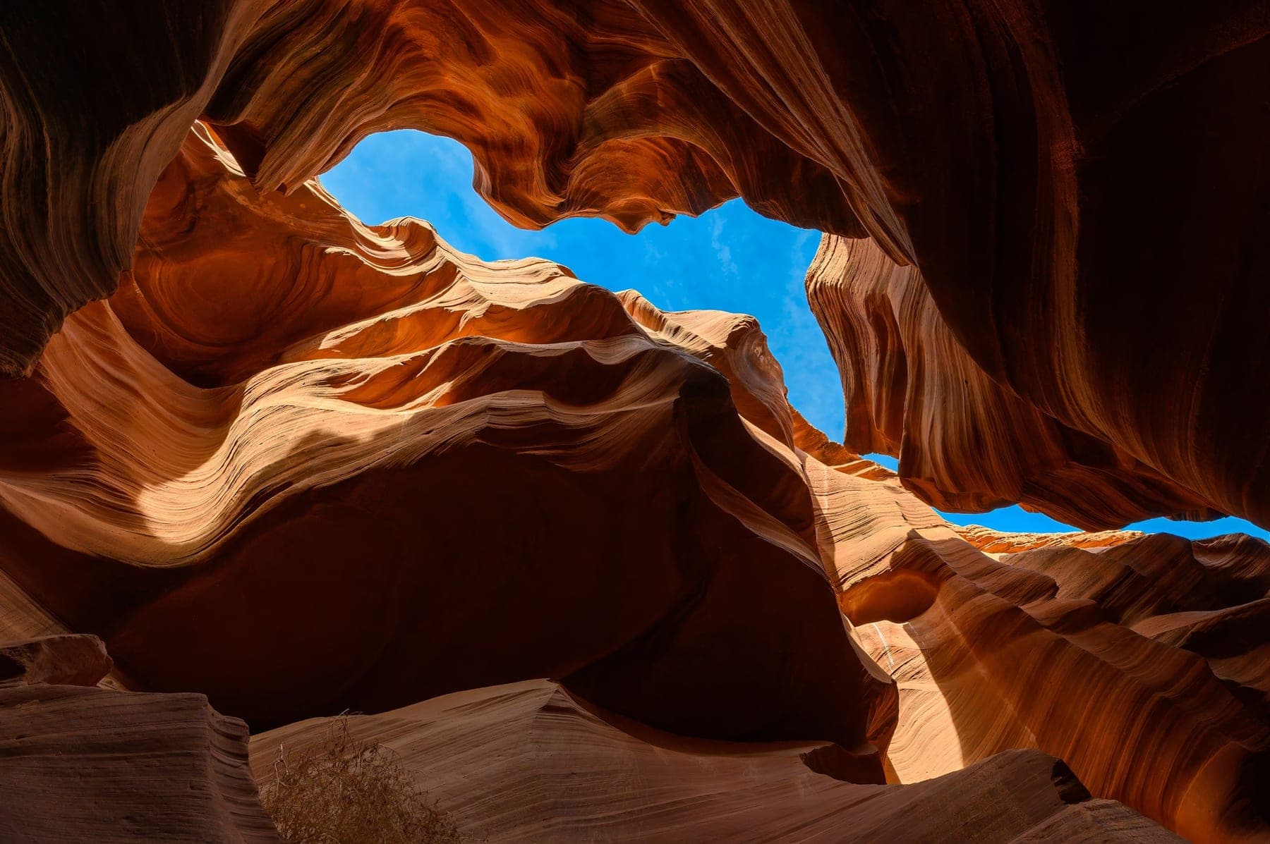 Sculpted curves of warm sandstone in a narrow slot canyon, sharp from front to back