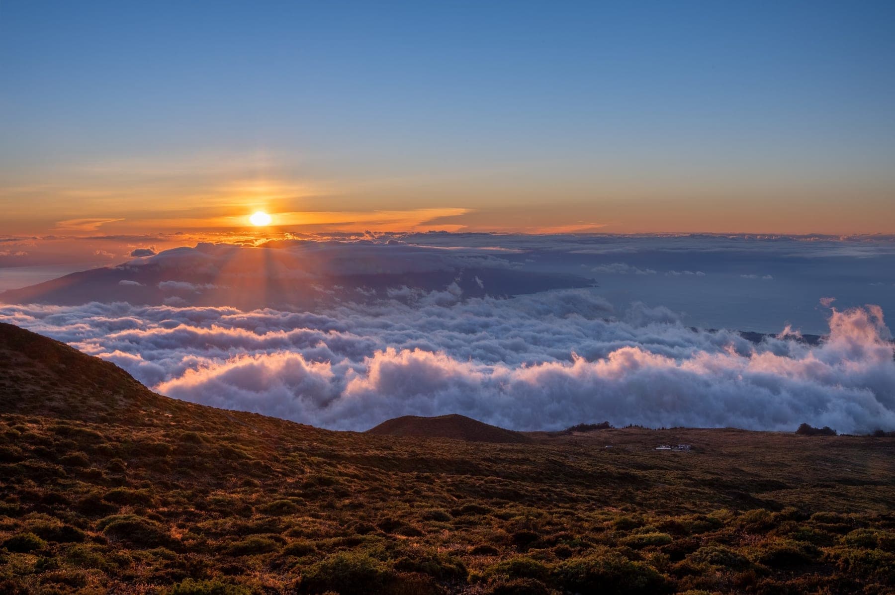 A sea of clouds glowing at sunset seen from above a ridgeline, strong compositional layers